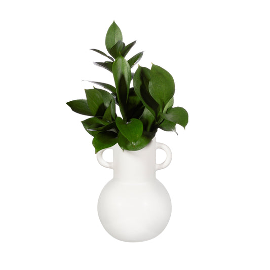 White Matte Vase with Handles
