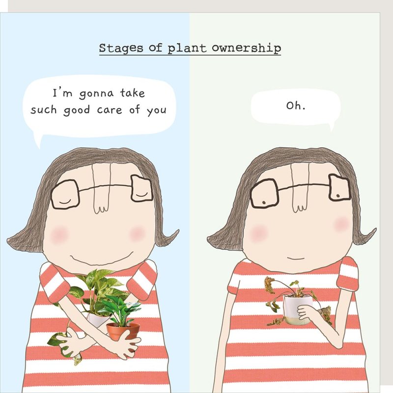 Stages of Plant Ownership Birthday Card