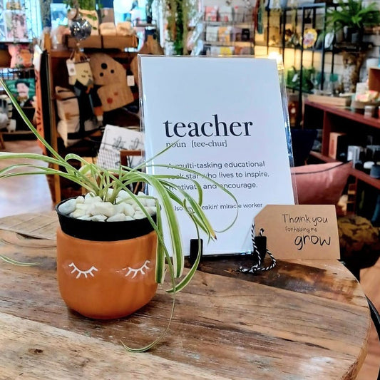 Thank You Teacher | Terracotta Mini Planter with Spider Plant