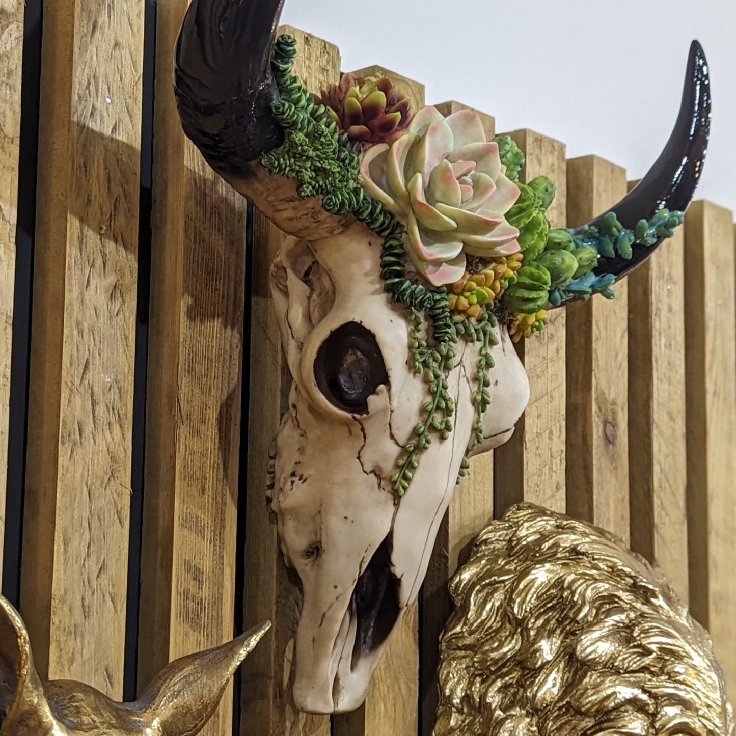Faux Bison Skull Wall Head With Succulents | 43cm