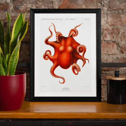 Vintage Red Octopus Illustration Art Print