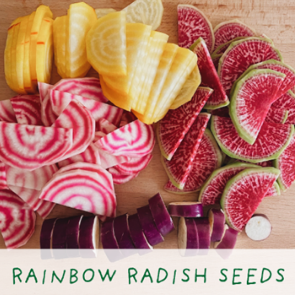 Grow Your Own - Crazy Rainbow Veg Growing Kit