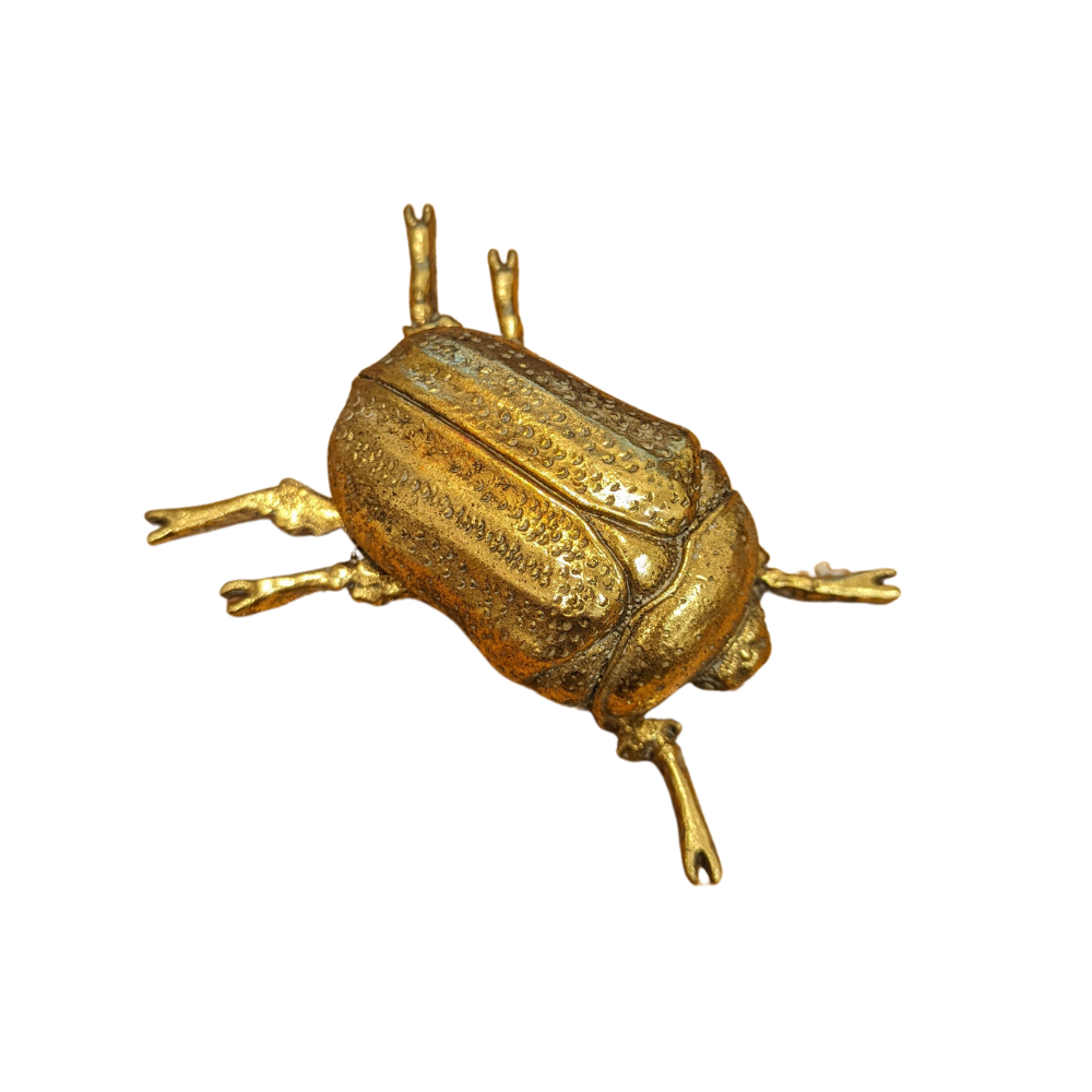 Gold Scarab Beetle Wall Decoration/Ornament, 13cm