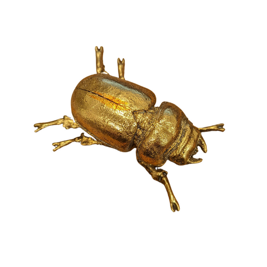 Gold Lady Stag Beetle Wall Decoration/Ornament, 12.5cm
