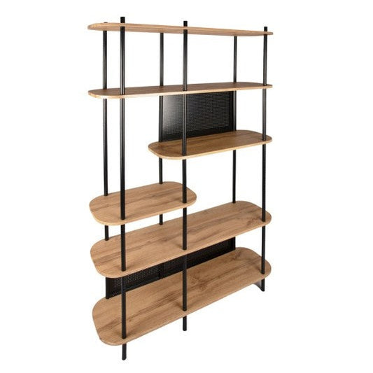 Steel & Light Wood Veneer Shelving Cabinet