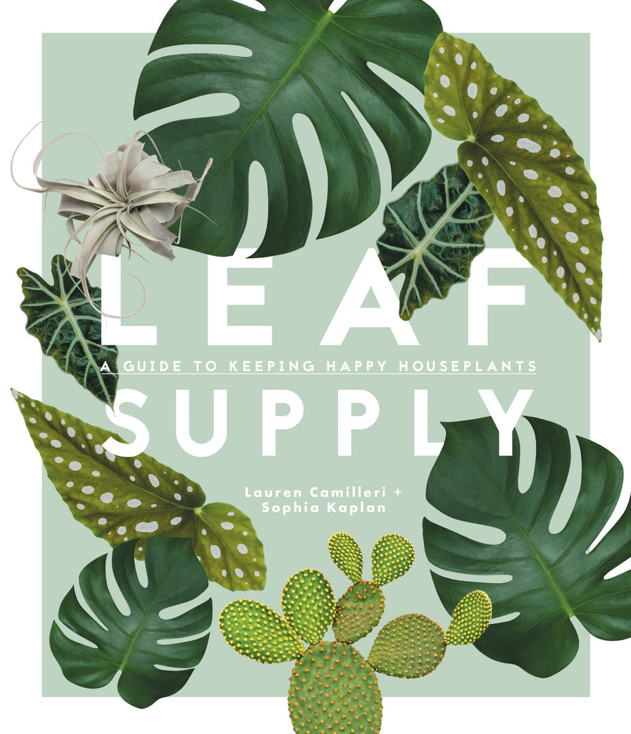 The Leaf Supply | A Guide To Keeping Happy Houseplants Hardback Book