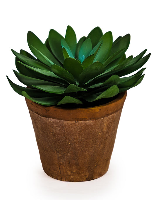Faux Succulent in Terracotta Pot