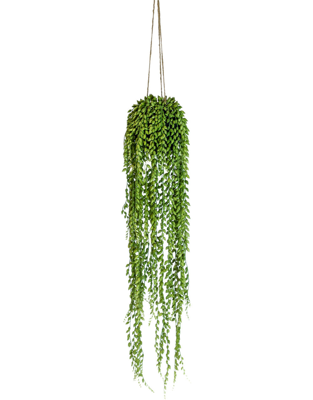 Faux Hanging String of Pearls