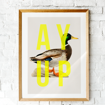 Ay Up Duck Art Print