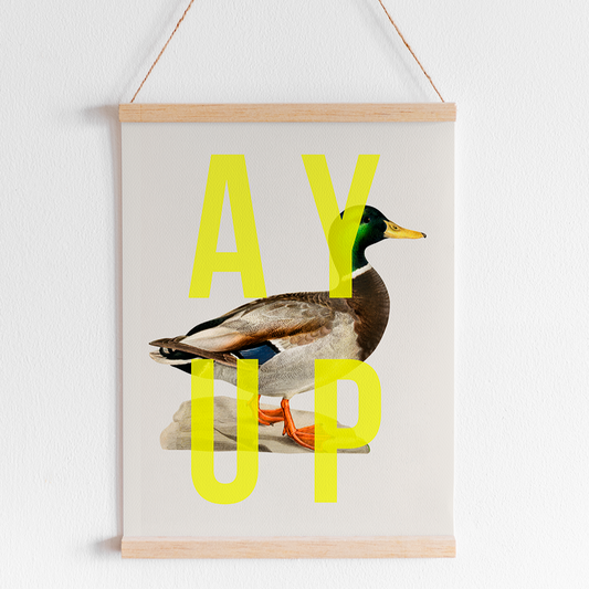 Ay Up Duck Art Print