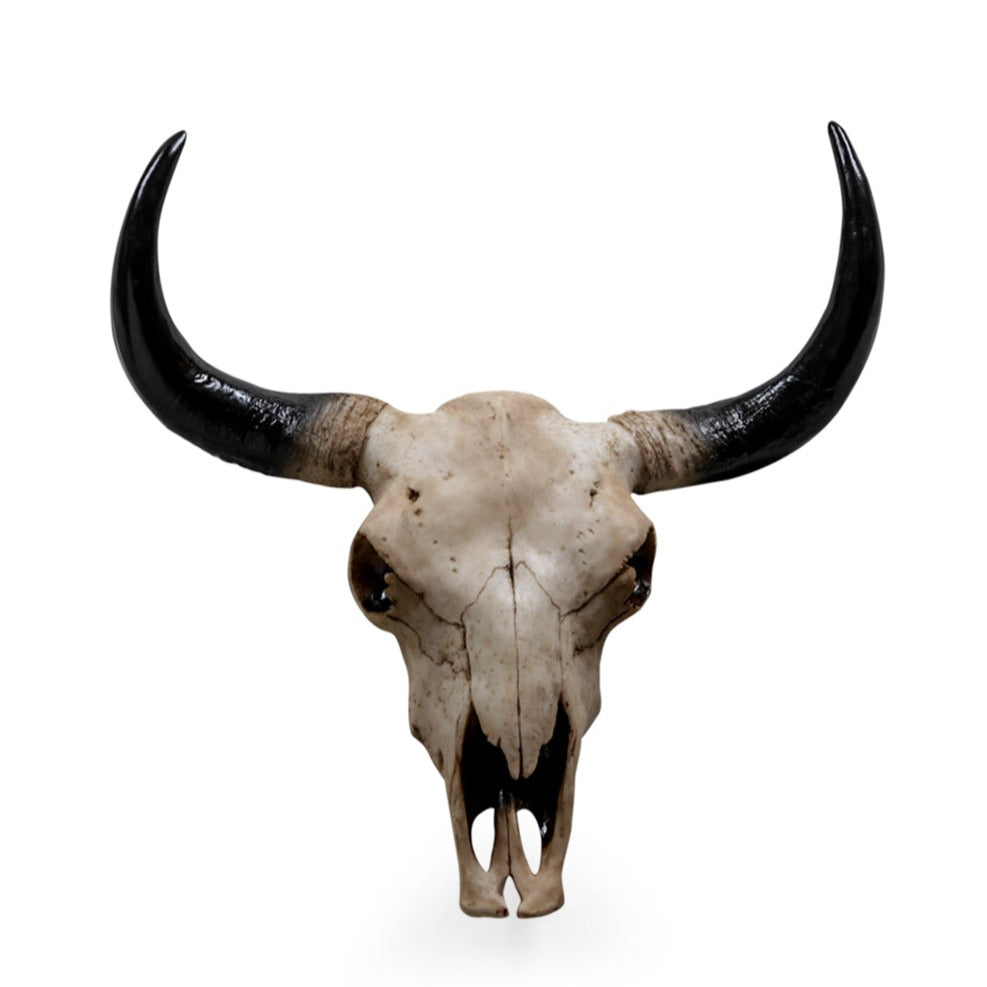 Wall Mounted Faux Bison Skull Head | Two Sizes