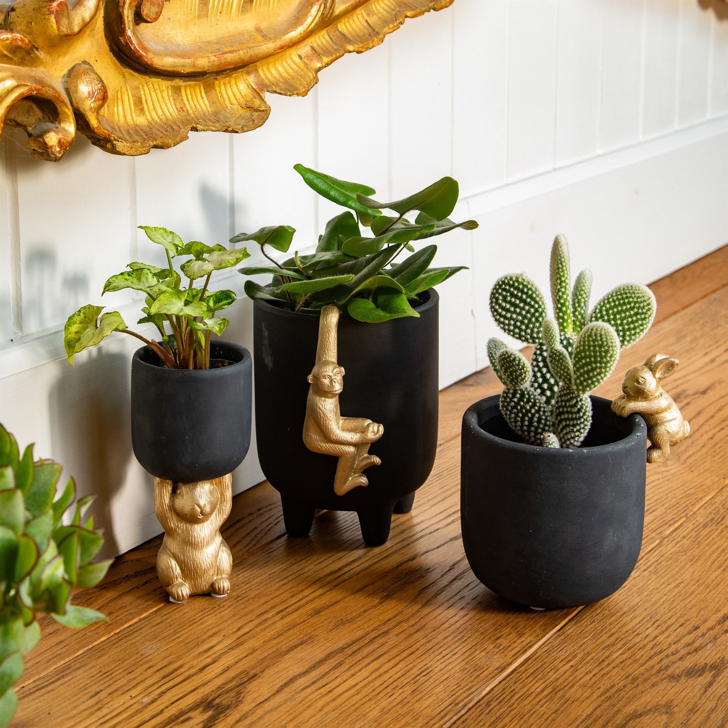 Gold Monkey Plant Pot Hanger