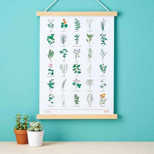 Illustrated Herb Print