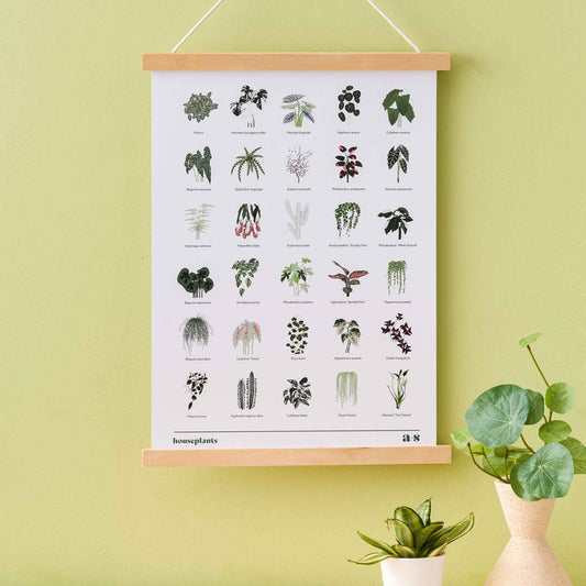 Illustrated House Plant - Edition 2 Print