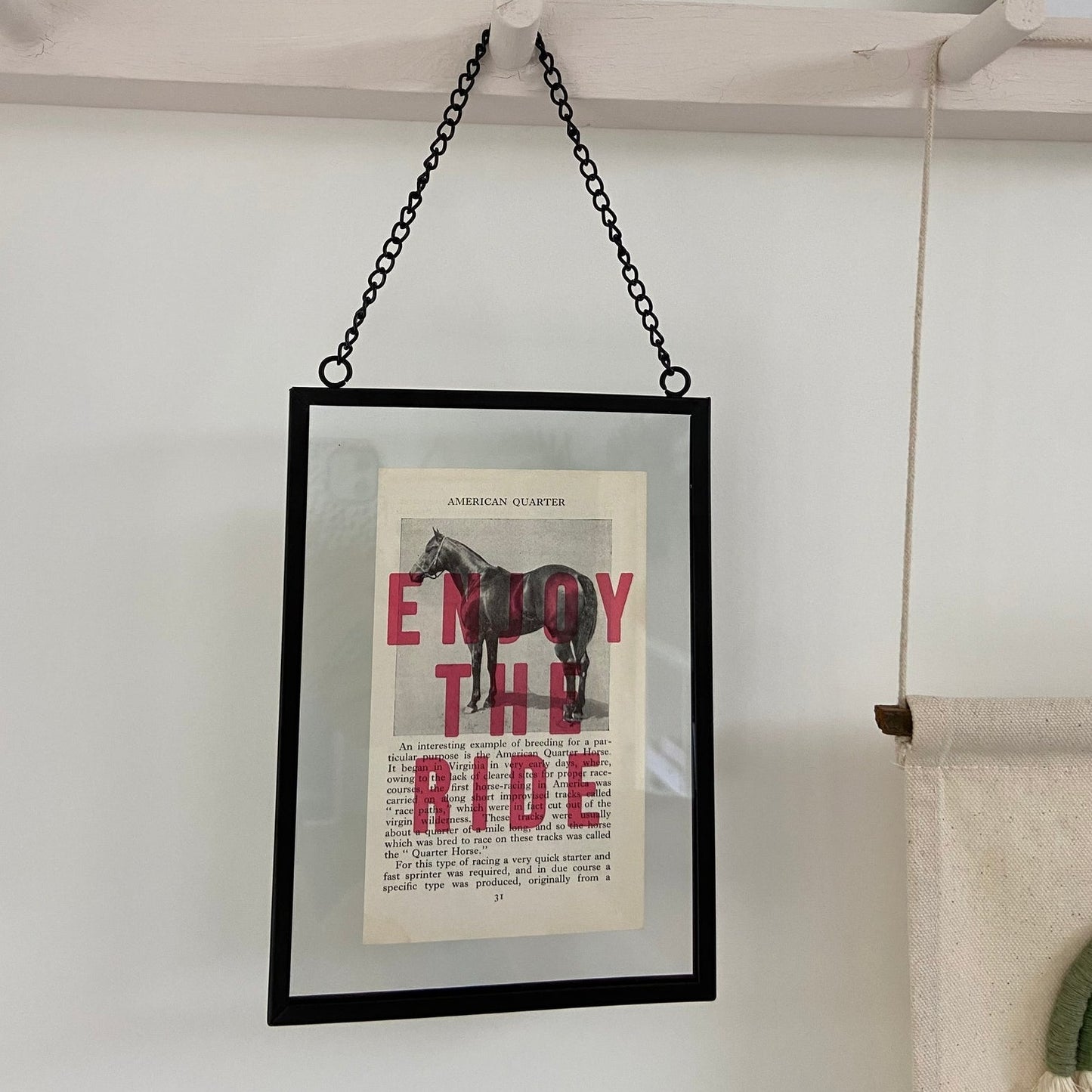 Enjoy The Ride Art Print