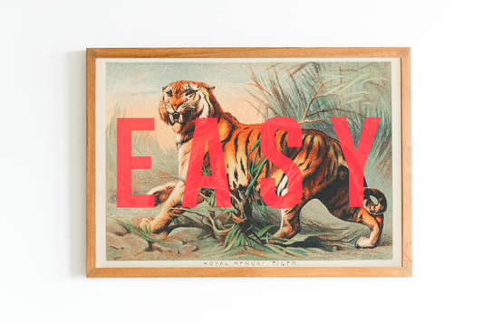 Easy Tiger Unframed Wall Print featuring a Bengal Tiger
