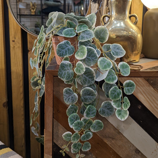 Faux Chain of Hearts Trailing Plant in Pot