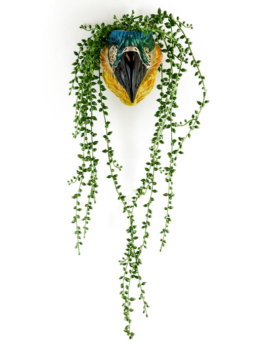 Pretty Parrot Head Ceramic Wall Sconce/Vase
