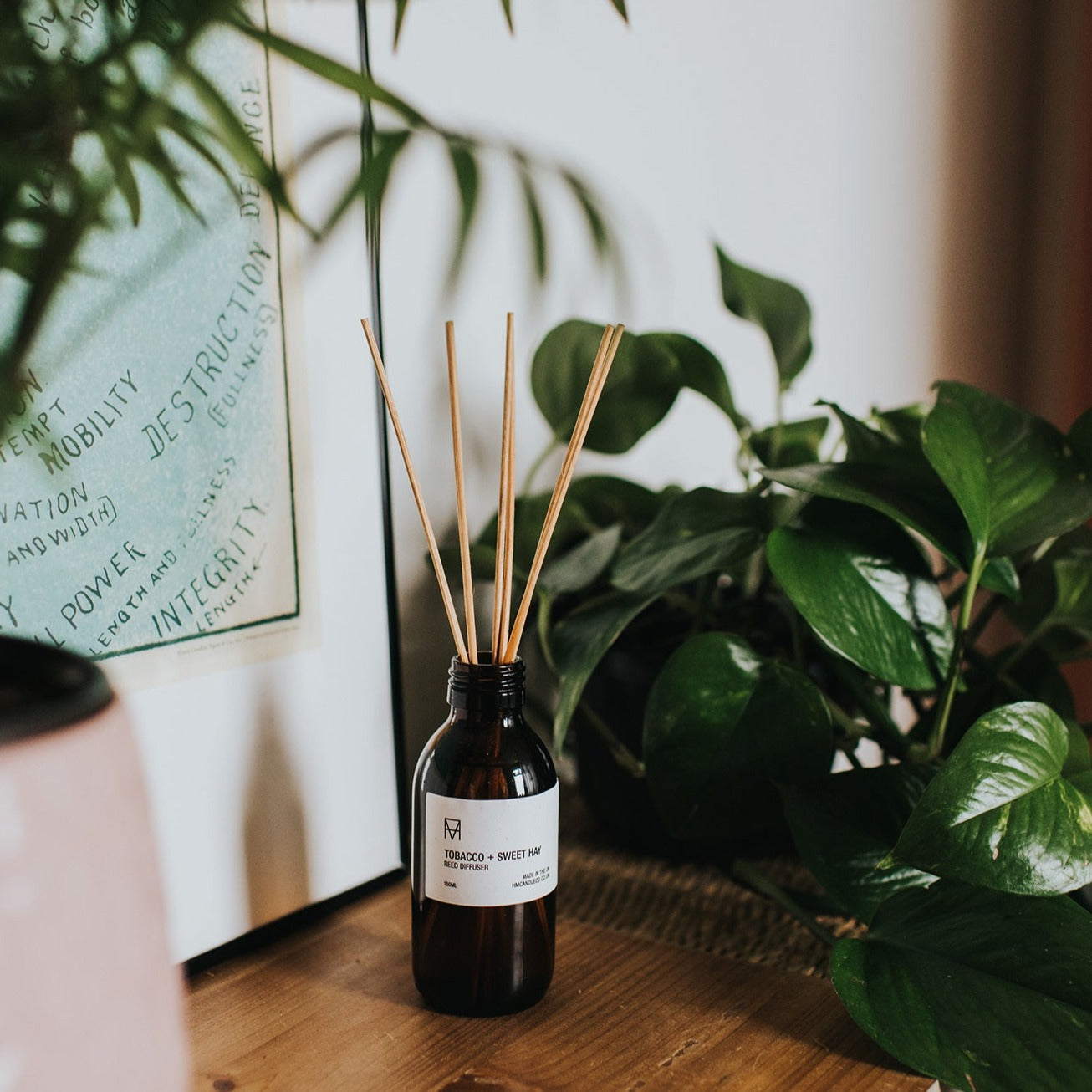 Tobacco & Sweet Hay Room Diffuser in a Recycled Amber Glass Bottle surrounded by lush plants