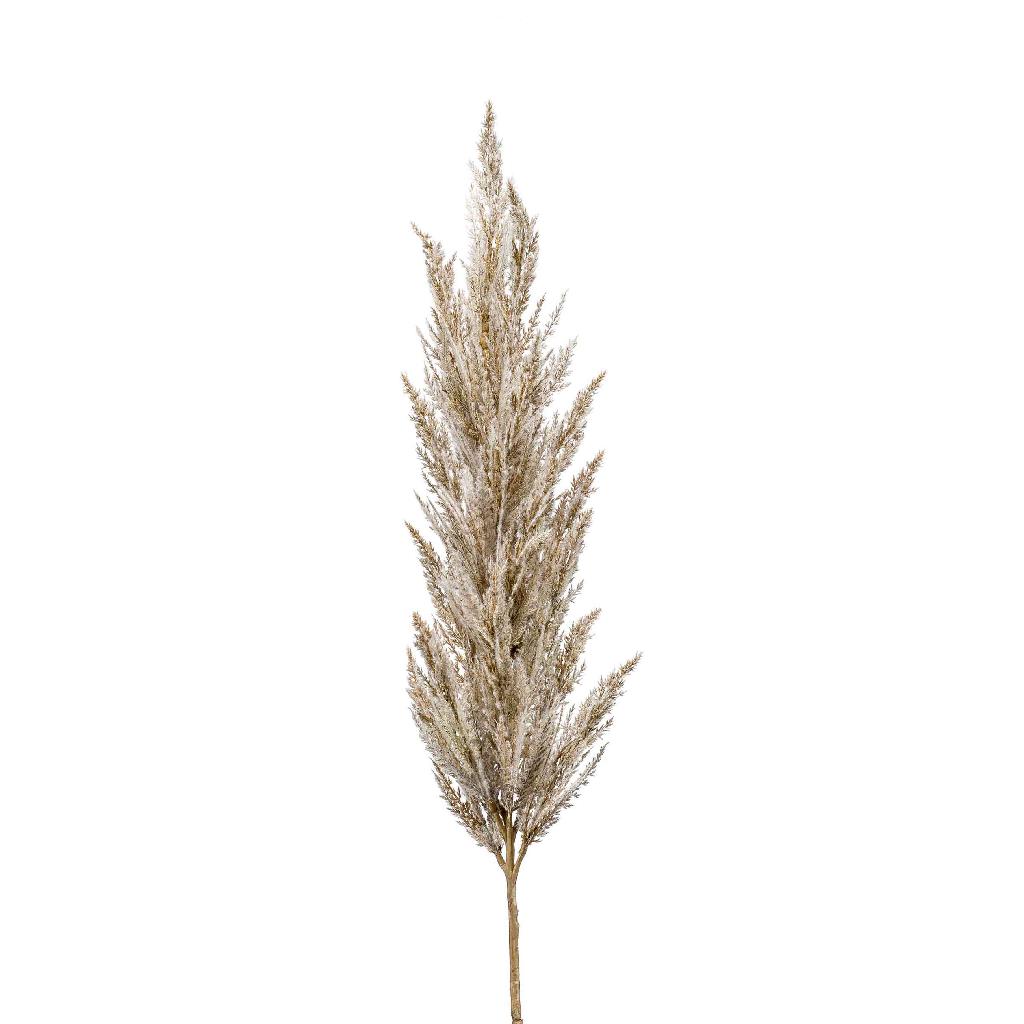 Artificial Pampas Grass, Cream | 90cm
