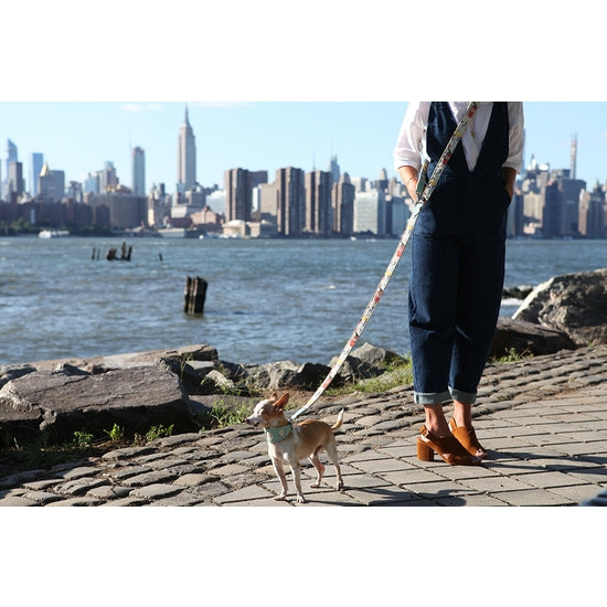 New York! New York! Hands Free (Coupler) Dog Lead/Leash